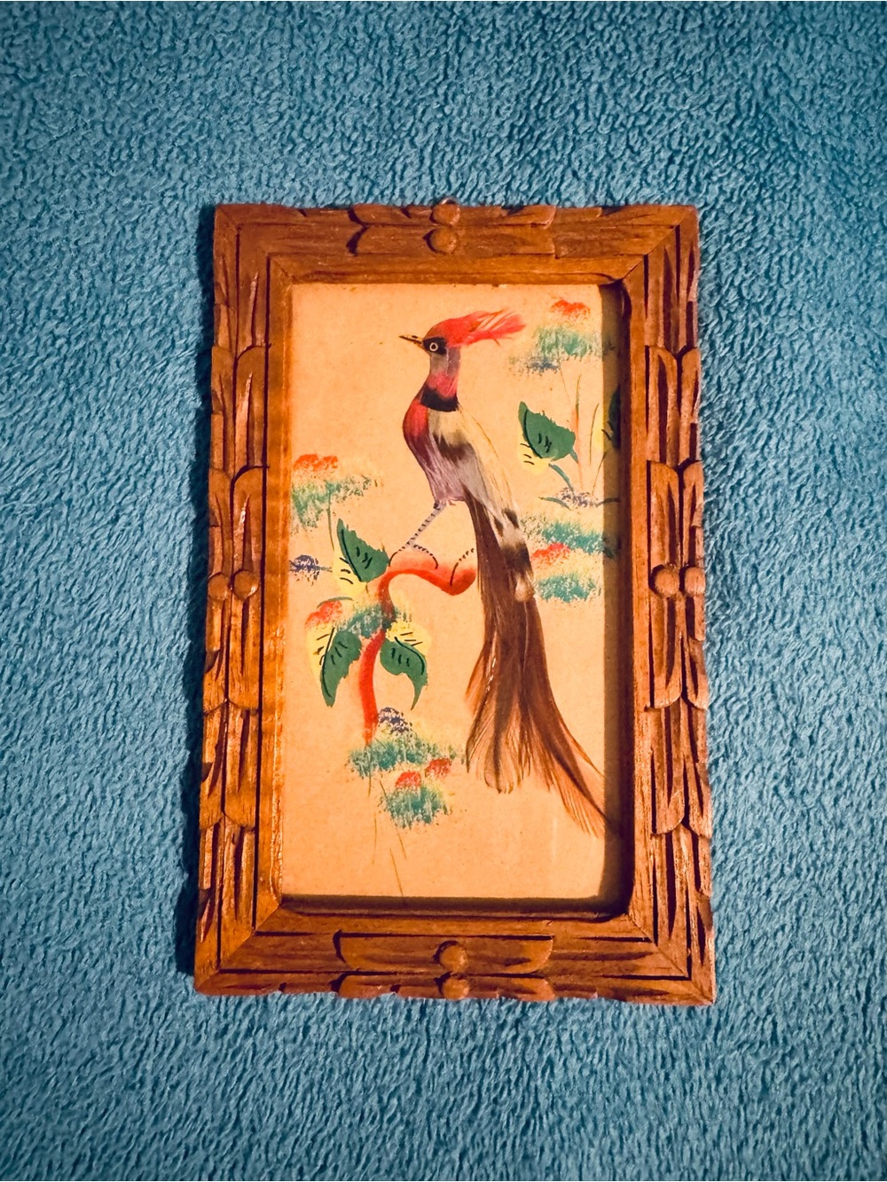 Framed Bird Painting and feathers Wood Frame with Multicolor made in Mexico
